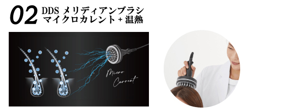 02DDS メリディアンブラシ マイクロカレント + 温熱